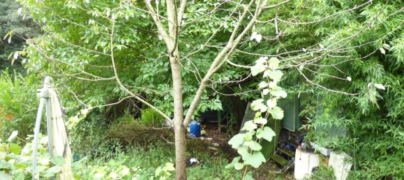 3 chambres Maison à Darmstadt-Dieburg, Germany No. 133006 8