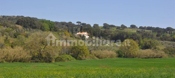 5 bedrooms Villa in Rosignano Marittimo, Italy No. 117957 20