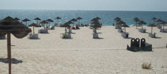 380m² Land in Grandola, Portugal No. 115815 3