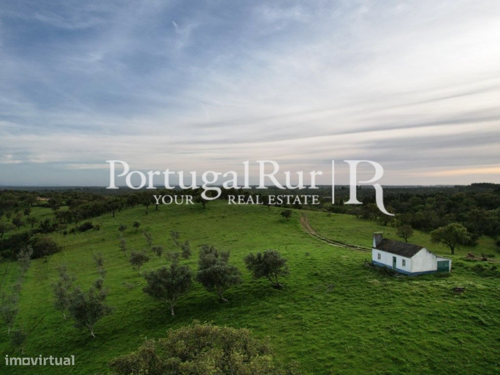 2 bedrooms House in Santiago do Cacem, Portugal No. 345823