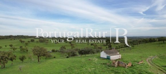 2 bedrooms House in Santiago do Cacem, Portugal No. 345823 19