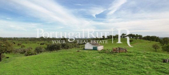 2 bedrooms House in Santiago do Cacem, Portugal No. 345823 16