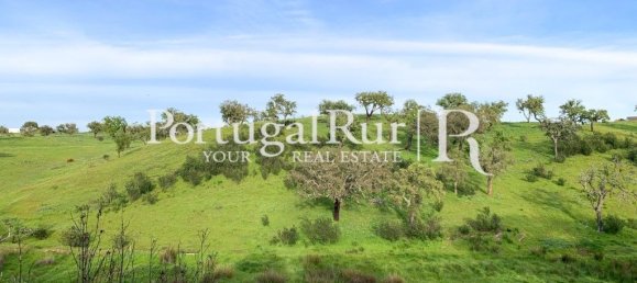 2 bedrooms House in Santiago do Cacem, Portugal No. 345823 33