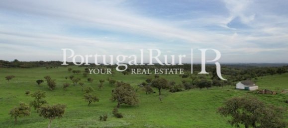 2 bedrooms House in Santiago do Cacem, Portugal No. 345823 21