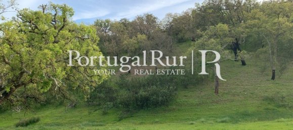 2 bedrooms House in Santiago do Cacem, Portugal No. 345823 31