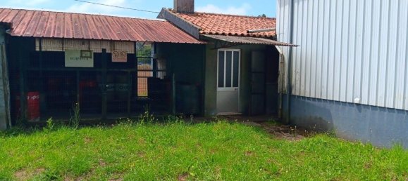 650m² Office in Avanca, Portugal No. 224897 50