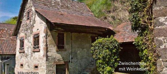 Grundstück in Breisgau-Hochschwarzwald, Germany 2318m², Nr. 311061 4