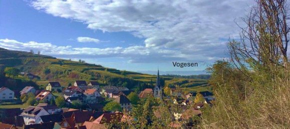 Grundstück in Breisgau-Hochschwarzwald, Germany 2318m², Nr. 311061 14