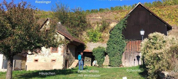 Grundstück in Breisgau-Hochschwarzwald, Germany 2318m², Nr. 311061 3