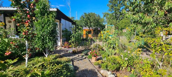 Земельный участок в Потсдам-Миттельмарк, Германия № 354754 3