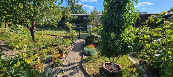 Земельный участок в Потсдам-Миттельмарк, Германия № 354754 4