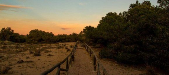 3 bedrooms Villa in La Marina, Spain No. 6992 7