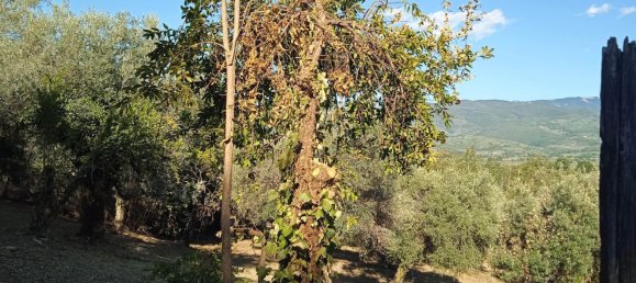 2400m² Land in Montelibretti, Italy No. 303382 10