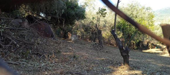 2400m² Land in Montelibretti, Italy No. 303382 13