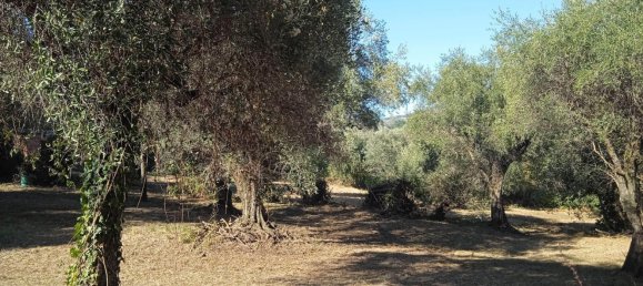 2400m² Land in Montelibretti, Italy No. 303382 5