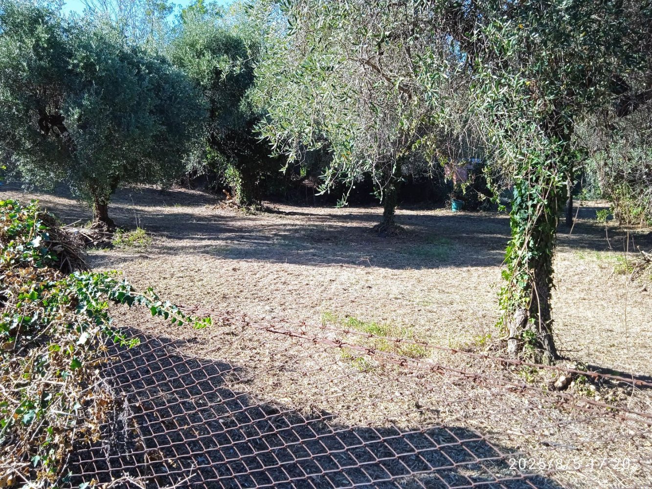 2400m² Land in Montelibretti, Italy No. 303382