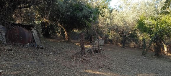 2400m² Land in Montelibretti, Italy No. 303382 2