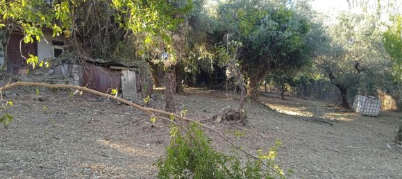 2400m² Land in Montelibretti, Italy No. 303382 4