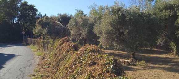 2400m² Land in Montelibretti, Italy No. 303382 7