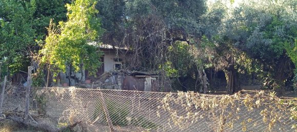 2400m² Land in Montelibretti, Italy No. 303382 9