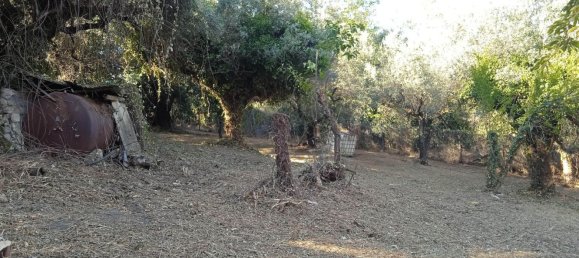 2400m² Land in Montelibretti, Italy No. 303382 3