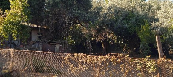 2400m² Land in Montelibretti, Italy No. 303382 8