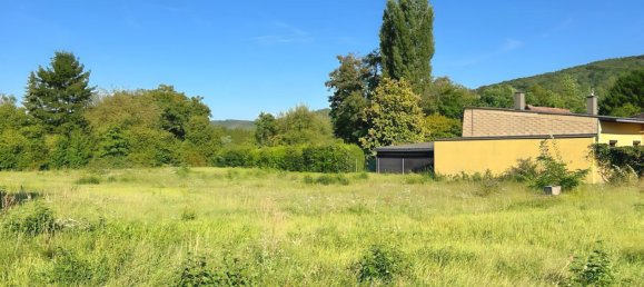 Terrain à Zeiselmauer-Wolfpassing, Austria No. 235757 3