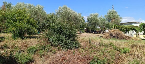 Дом с 5 комнатами в Монтеротондо, Италия № 266022 7