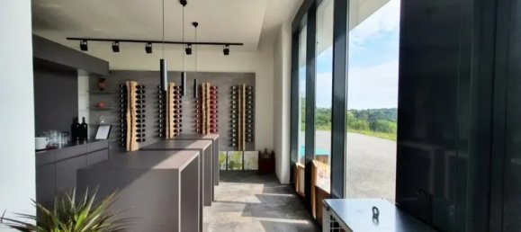 Gewerbliche Immobilie in Jennersdorf, Austria 570m², Nr. 214837 2