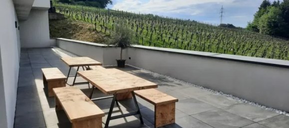 Gewerbliche Immobilie in Jennersdorf, Austria 570m², Nr. 214837 3