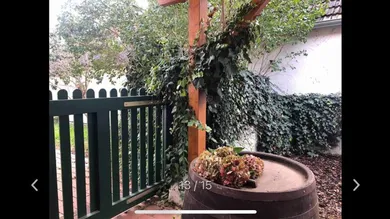 2 rooms House in Stegersbach, Austria No. 31574