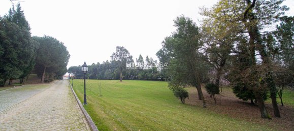 4 chambres Maison à Oliveira de Azemeis, Portugal No. 72013 17