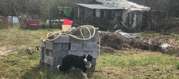  قطعة أرض في Llanera, Spain 13000متر مربع رقم 155862 14