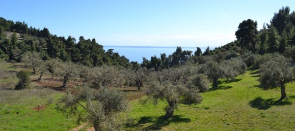 4 غرف نوم عقار تجاري في Chalkidiki, Greece رقم 5802 2