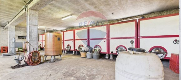 Дом с 11 спальнями в Санта Мария делла Верза, Италия № 329669 32