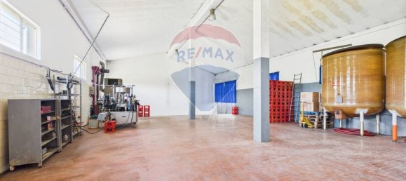 Дом с 11 спальнями в Санта Мария делла Верза, Италия № 329669 27