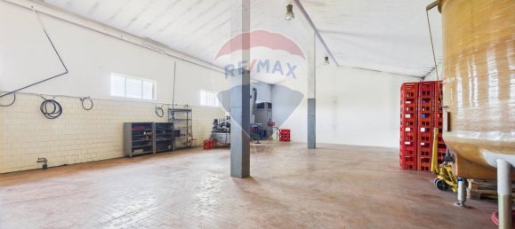 Дом с 11 спальнями в Санта Мария делла Верза, Италия № 329669 26