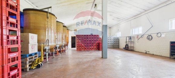 Дом с 11 спальнями в Санта Мария делла Верза, Италия № 329669 29