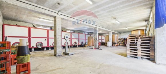 Дом с 11 спальнями в Санта Мария делла Верза, Италия № 329669 31