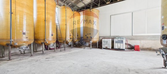 Дом с 11 спальнями в Санта Мария делла Верза, Италия № 329669 37