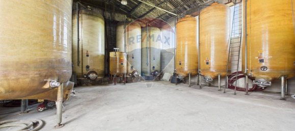 Дом с 11 спальнями в Санта Мария делла Верза, Италия № 329669 36