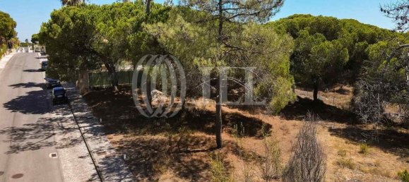 Terreno en Almancil, Portugal 1285 m² No. 55920 8