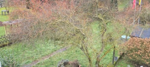 5-salle Maison de ville à Birkenfeld, Germany No. 140966 6