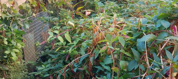 Apartamento de 3 divisões em Pesaro, Italy N.º 219081 23