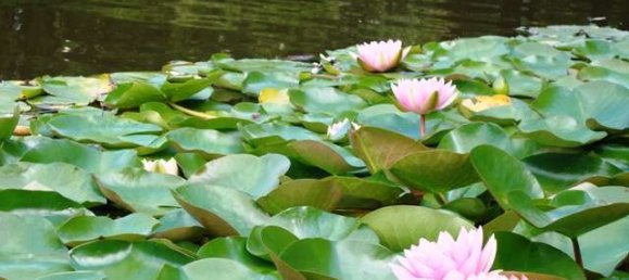 Terreno em Rahnsdorf, Germany N.º 259101 2