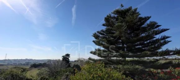 4 bedrooms House in Almada, Portugal No. 117062 15