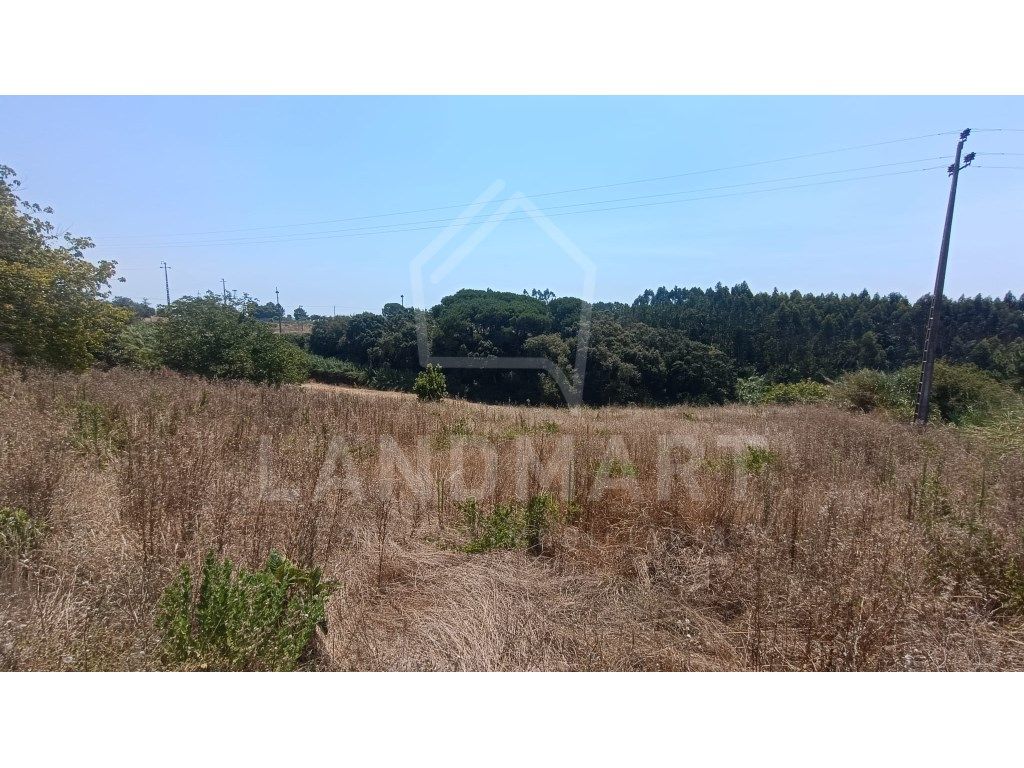 2110m² Land in Alvorninha, Portugal No. 223489