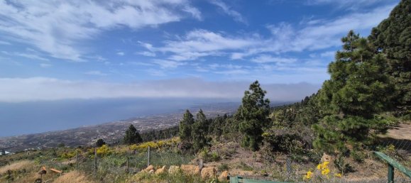 Дом с 2 спальнями в Гуимар, Испания № 152047 7