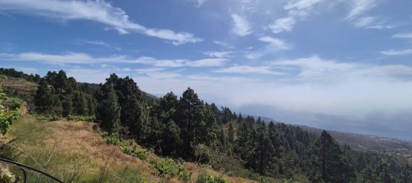 Дом с 2 спальнями в Гуимар, Испания № 152047 12