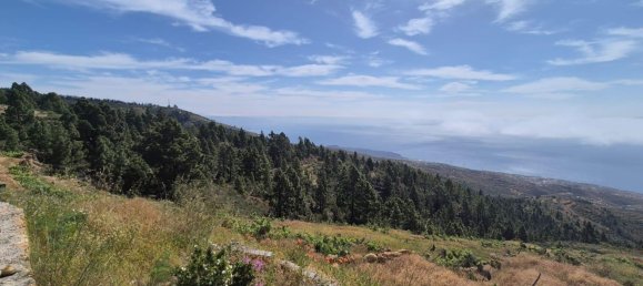 Дом с 2 спальнями в Гуимар, Испания № 152047 25